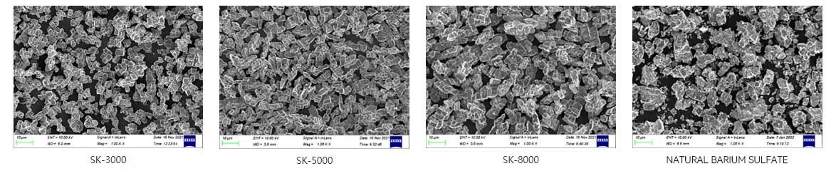 Ambition Materials Light Diffusion Barium Sulfate model SK SEM picture